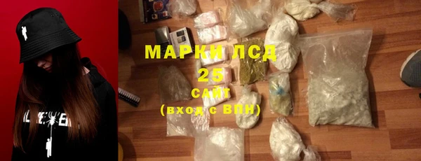 прущие грибы Наволоки