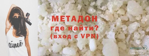 прущие грибы Наволоки