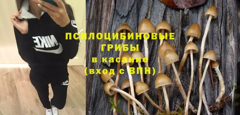 где можно купить   Верхоянск  Галлюциногенные грибы MAGIC MUSHROOMS 